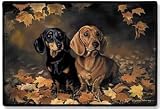 Fiddler's Elbow Dachshund Designer Dog Rug Doormat Mat Polyanna Pickering