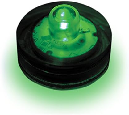Lumabase 68812 12 Count Submersible LED Lights, Green