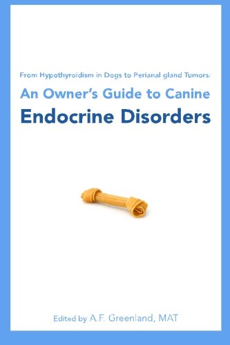 From Hypothyroidism in Dogs to Perianal gland Tumors: An Owner's Guide to Canine Endocrine Disorders