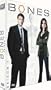 Bones, saison 1 - Coffret 6 DVD