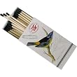 Botanical Birds European Designs Large Decorative Matches~ Set of 3