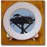 Feed The Babies - 8 Inch Porcelain Plate