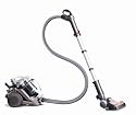 Dyson DC21 Motorhead Cylinder Vacuum Cleaner