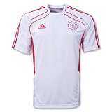 Ajax 10/11 Training Jersey