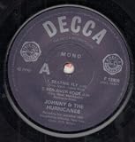 BEATNIK FLY 7" (45)