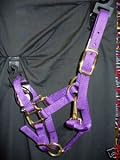 Miniature horse mini Horse Nylon Halter Purple Tack