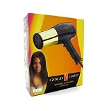 Gold ‘N Hot GH8135 Professional 1875-Watt Dryer with Styling Pik