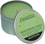 Eucalyptus & Peppermint Aromatherapy Candle- 50 hr. burn time- made with 100% Pure Essential Oils
