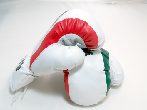 Mexico - 14oz boxing Gloves Sport Fitness Training