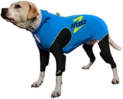 Atleez Compression Padded Suit, Large, Teal Blue