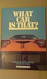 What car is that?