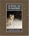 Search : A Dog of Flanders
