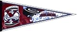 Colorado Avalanche 10 Seasons Pennant