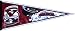 Colorado Avalanche 10 Seasons Pennant