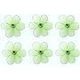 2" Green Mini Daisy Flower 6pc nylon hanging ceiling wall baby nursery room wedding decor