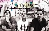 Blink 182 (Group, B&W) Black Wood-Mounted Music Poster Print - 24 X 36