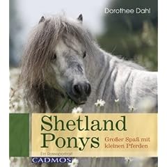 Shetland Ponys: Gro�er Spa� mit kleinen Pferden
