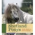 Shetland Ponys: Gro�er Spa� mit kleinen Pferden