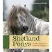 Shetland Ponys: Gro�er Spa� mit kleinen Pferden