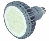 KolourOne S8862 17-Watt 40 Degree 2700K 120V, Lumens 785 LED PAR38 Lamp, Gray