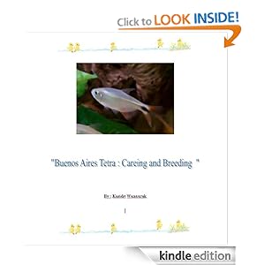 Buenos Aires Tetra : Care and