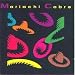 Mariachi Cobre
