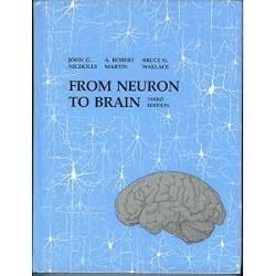 From Neuron to Brain: A Cellular and Molecular Approach to the Function of the Nervous System