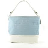 Coach Z Mini Signature Tote Z16250 (SV/Sky)