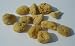 Natural Sea Silk Sponges - Pack of 12