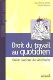 Droit du Travail au Quotidien, Guide Pratique a l Usage du Veterinaire