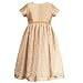 Apparel : RARE EDITIONS Kids Holiday GOLD Christmas Dress Special Occasion Girl 4-6X
