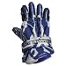 Warrior Superfreak II 13 Glove (Royal)