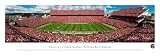 South Carolina Gamecocks Unframed Panoramic