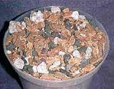 Special Orchid Bark Mix