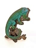 Large Green Iguana