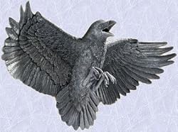 Decoration The Raven Statue Home garden sculpture New
