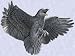Decoration The Raven Statue Home garden sculpture New