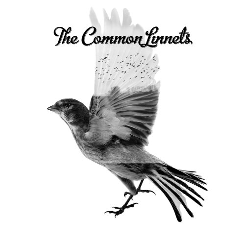 The Common Linnets - Broken But Home Lyrics - Zortam Music