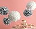 Martha Stewart Crafts Pom Poms, Silver White