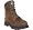 Deer Brown