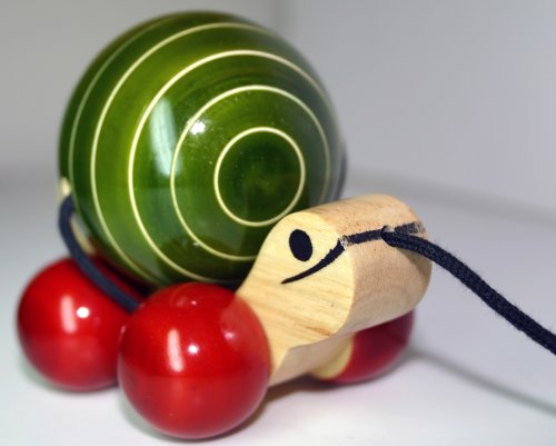 Childrens Toyshop  Toys : Tuttu Turtle Pullalong - Green