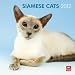 Siamese Cats 2012 Square 12X12 Wall Calendar