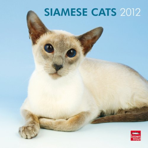 Siamese Cats 2012 Square Wall Calendar