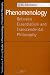 Book Phenomenology: Between Essentialism and Transcendental Philosophy (SPEP)