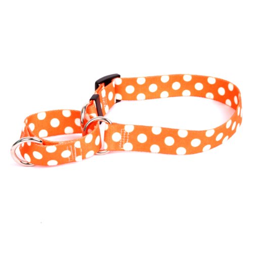 Tangerine Polka Dot Martingale Control Dog Collar - Size Extra Small 10