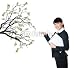 Wallmonkeys Peel and Stick Wall Decals - Money Tree - Removable Graphic