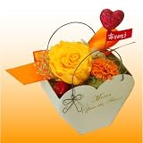 �ڥ��󥯥��֡����ۥ��ץ�󥰡��ץ�ƥ������