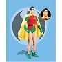Robin 13-Inch Deluxe Collector Figure