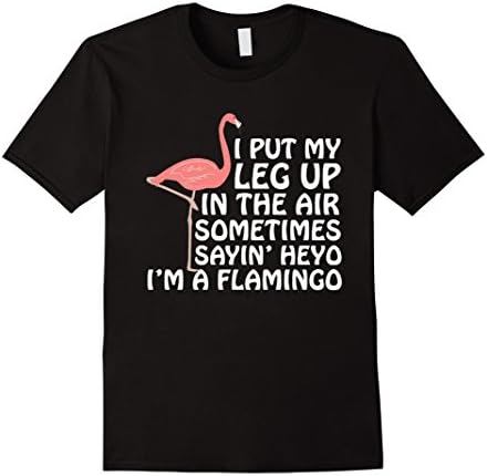 Men's I Put My Leg Up Flamingo Funny Music Meme T-Shirt New Medium Black