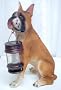 Boxer Solar Garden Light with Lantern